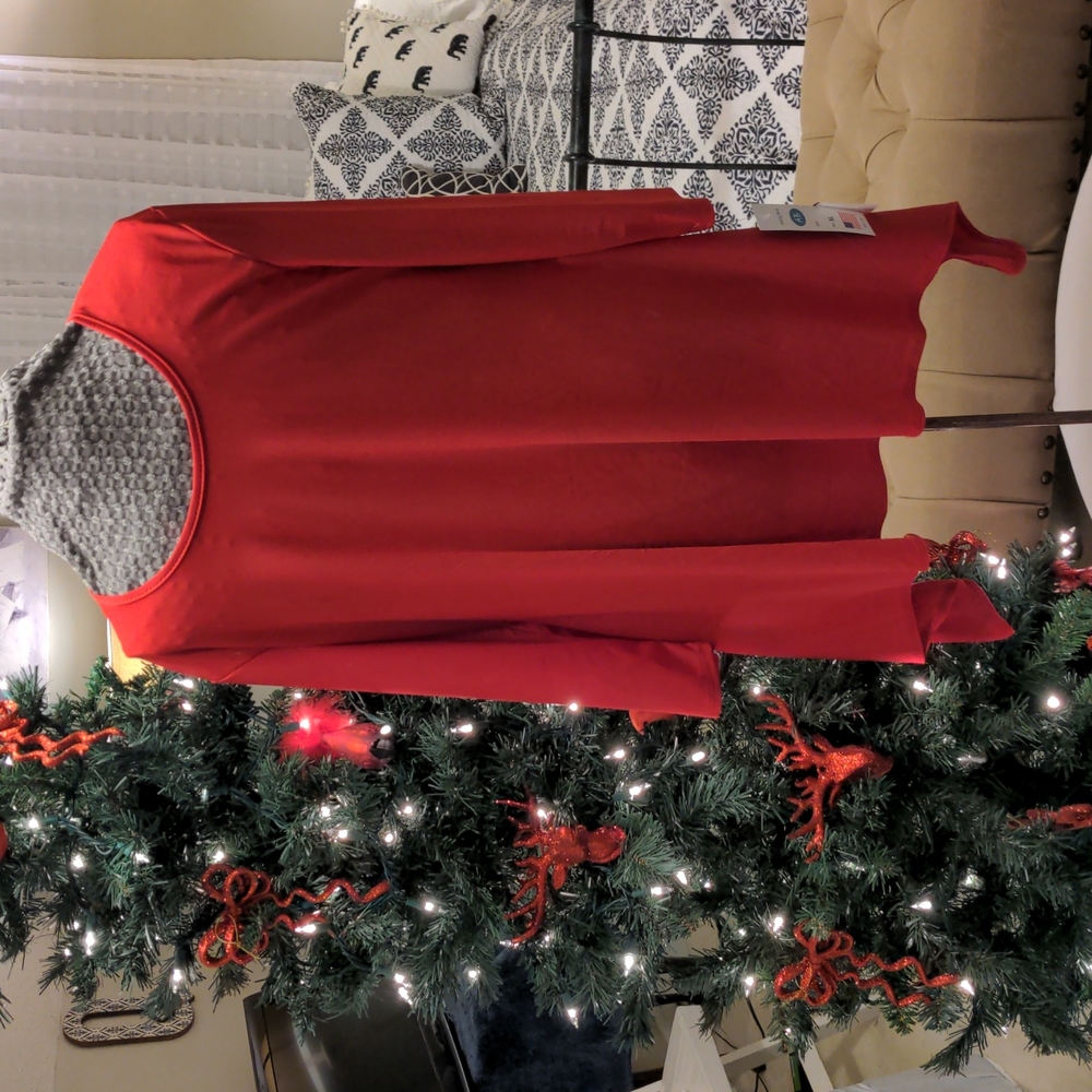 NWT Ashley Blue Tunic